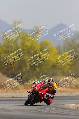 media/Apr-12-2025-Race Pace (Sat) [[9230add55f]]/Vested/1-Turn 2 (10am)/